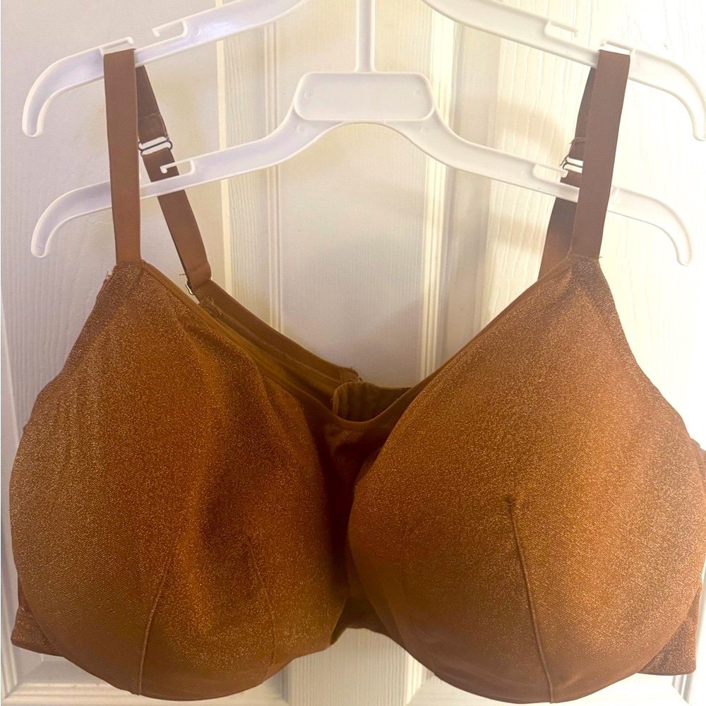 Cacique Shimmering Brown Bra